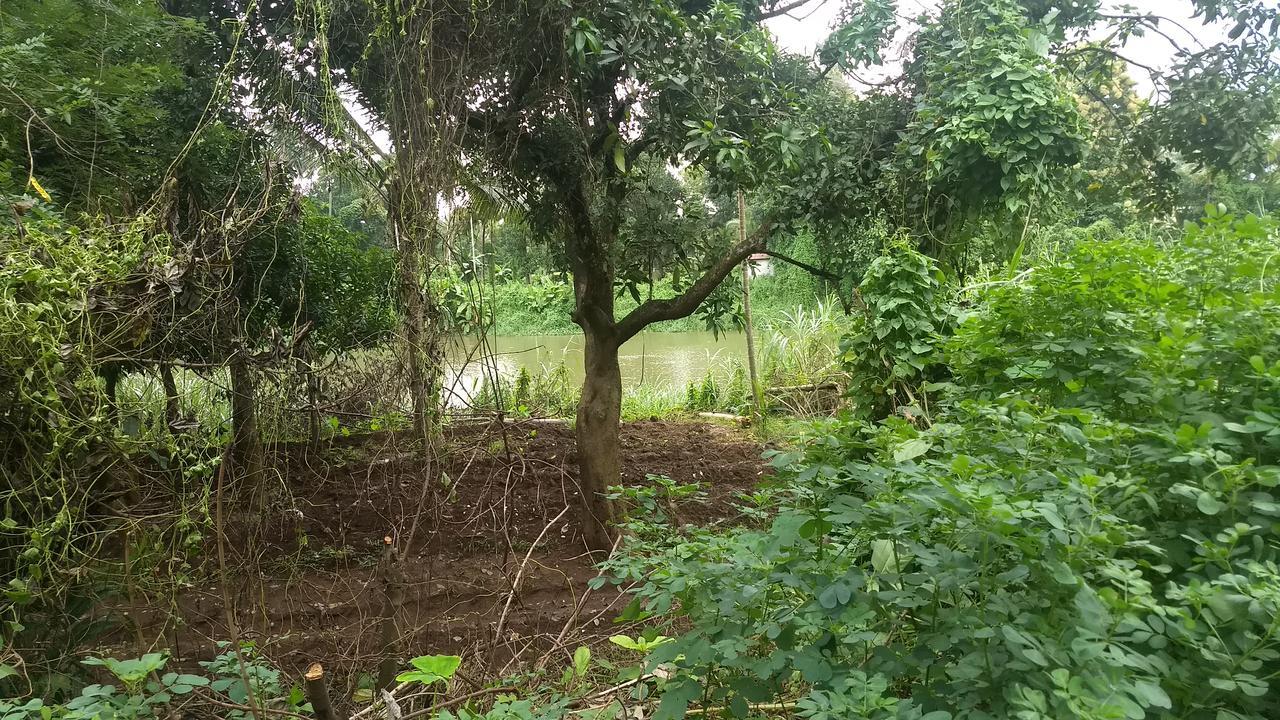 Neelambari Resorts Urakam Exterior photo