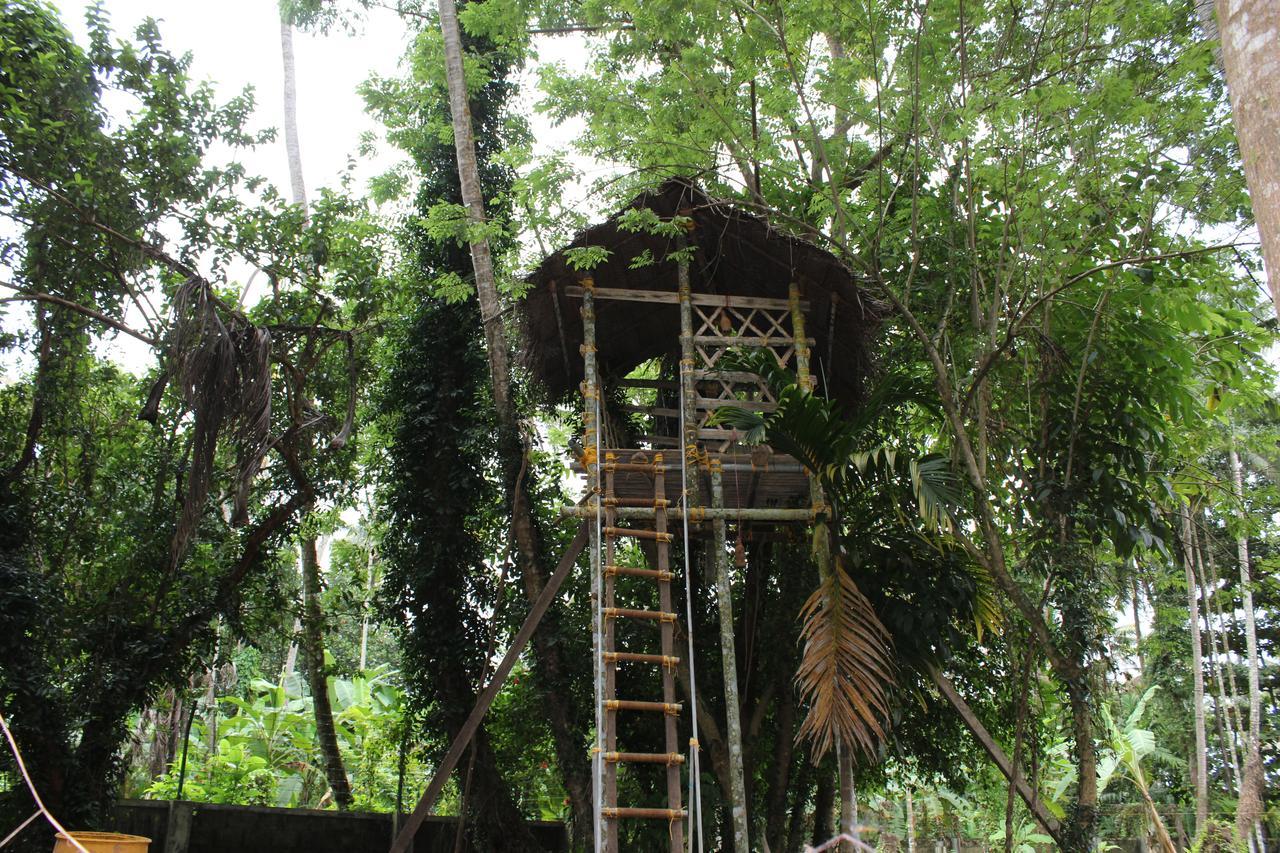 Neelambari Resorts Urakam Exterior photo